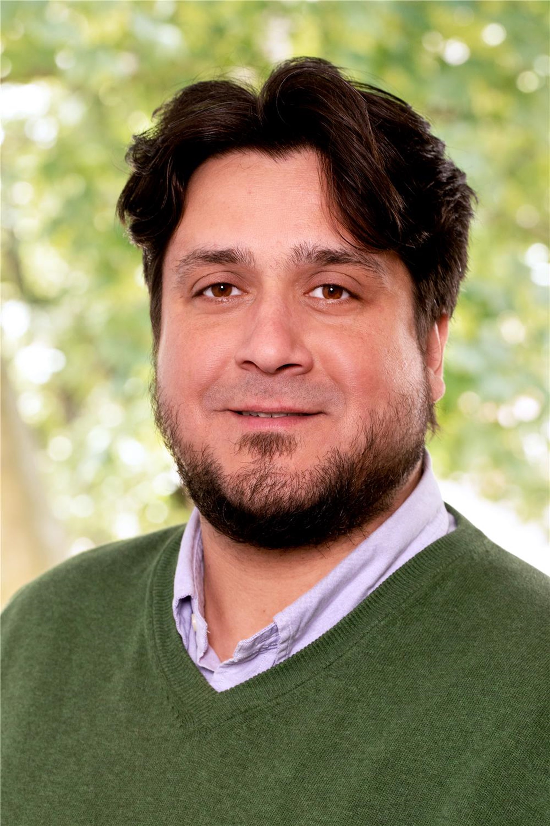 Fabian Niculescu
